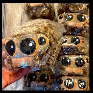 Spider plush bundle (3 items included)